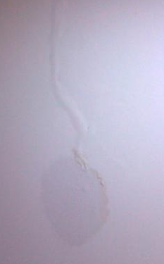 墻內水管漏水怎么辦呢？