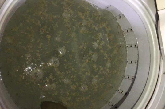 洗衣機不排水