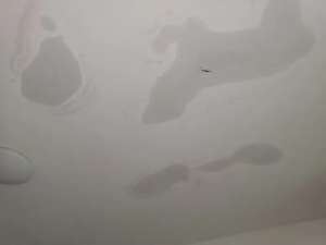 屋頂漏水zui實(shí)用的解決辦法!